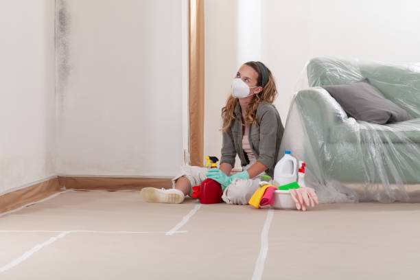 Reliable Mold Remediation contractor in Olean, NY by 24 Hour Mold Removal